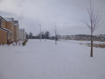 Snow watch part 4 - March is supposed to be spring right?