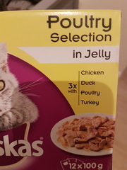 Itchy puss