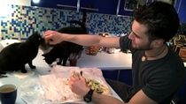 19 cats. Anyone else got this many?