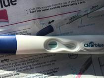 Pregnancy Test