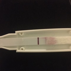 HELP please cd42 bfn but lots of pregnancy symptoms