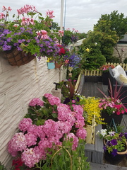 Please show me your small terrace house garden