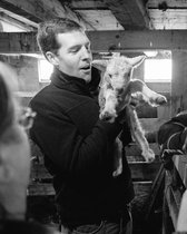 Even if you subpoena us, we won't turn up on the Trump threads