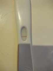 Can you see this?