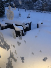 Snow - never seen anything like it