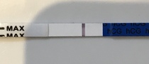 Indent on one-step internet cheapie?