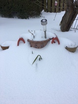 Brave Babes (Hygge) Battle Bus: Snowed in and Drinking Hot Chocolate instead of wine