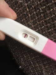 Pregnant or evap?
