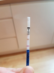 Can we talk about the Morning After Pill (I admit it, I’m panicking...)