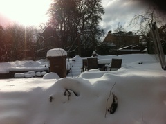 Snow - never seen anything like it