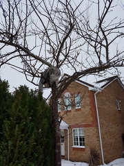 What's your DCat up to today? Episode 6, Return of the... Cats?