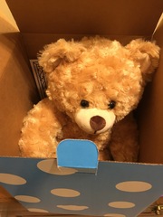 Find out what MNers and their DC’s got up to at the Build-A-Bear Workshop! NOW CLOSED!