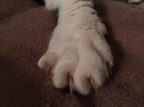 Harry's Results