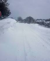 Snow watch part 4 - March is supposed to be spring right?