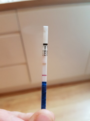 Can we talk about the Morning After Pill (I admit it, I’m panicking...)
