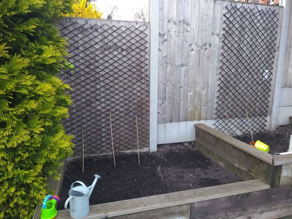 Gardening & Growing with the kids....