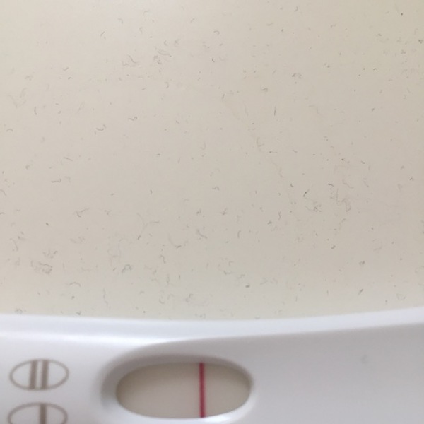Advice on negative pg tests?