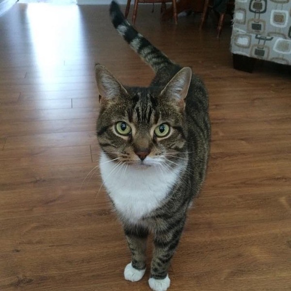 Our Sweet Girl Left Us Today