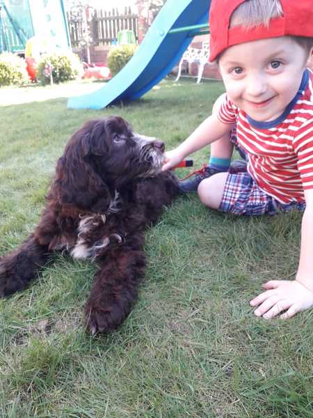 I need a name for this dog by tomorrow afternoon!