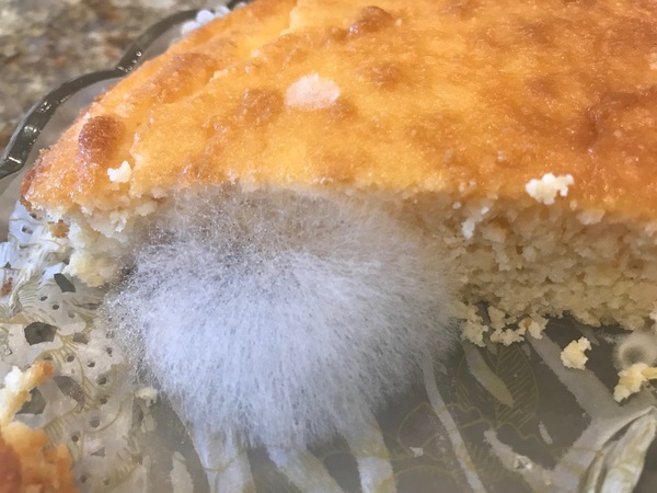 Low Carb Bootcamp - our final weigh-in!