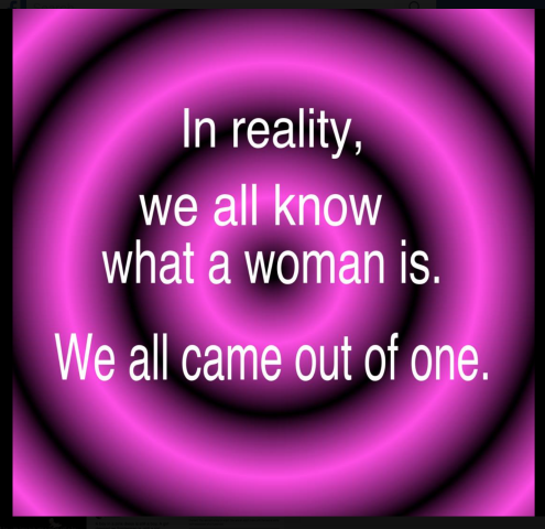 "Cis allies" being asked to provide "protection"