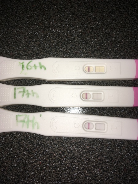 Ovulation tests?? Have I missed it?