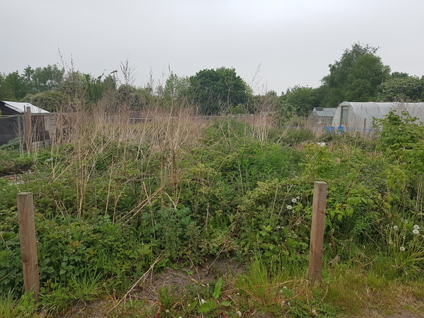 Not dry january. But less booze in general. Anyone else?