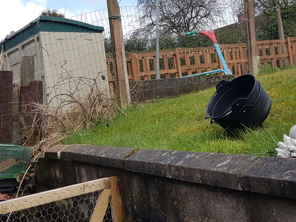 The lass who neglected a cactus is no more...