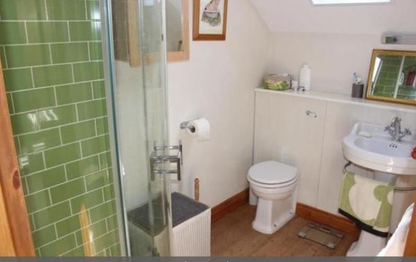 Tall people, toilet under sloped ceiling