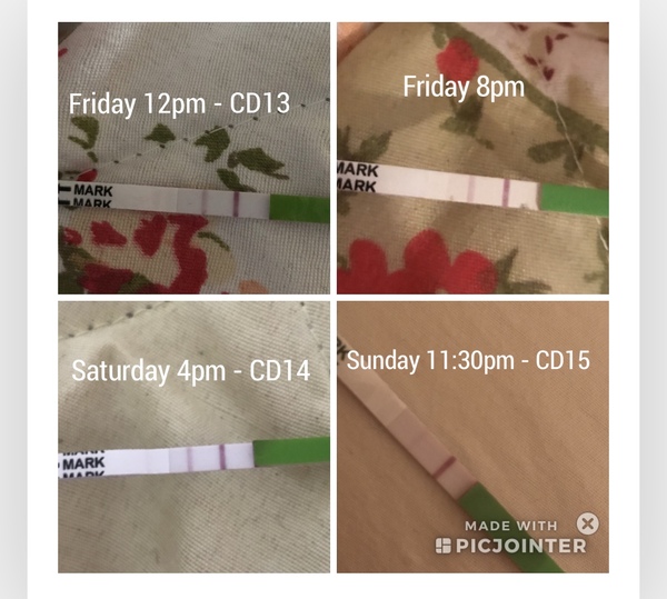 TTC after pregnancy loss - Thread 18: Christmas cake for Christmas babies