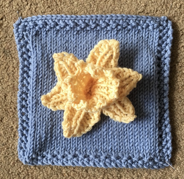 Woolly Hugs...We are making a blanket for annandale : Lovely donors and crafters, we need your help.