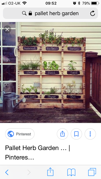 Gardening & Growing with the kids....
