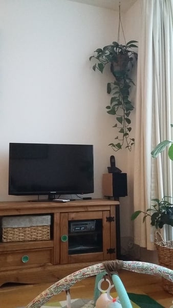 Styling around TV- help!