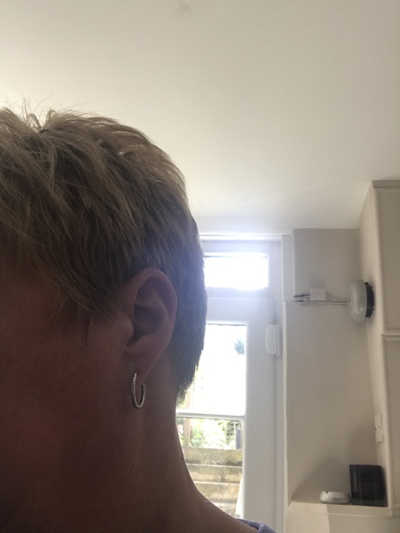 Pandora earrings. Yay or nay?