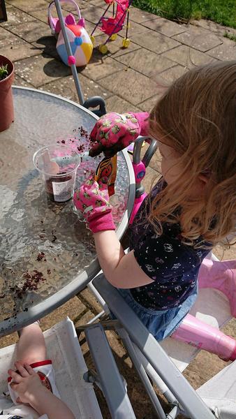 Mumsnet users review innocent’s at home growing kits