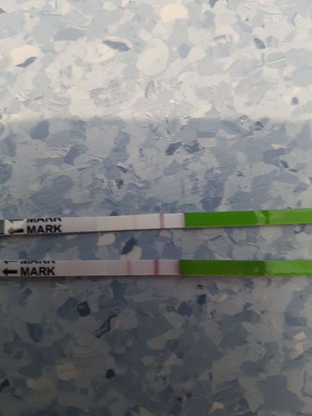 Days opks, when to test again/dtd