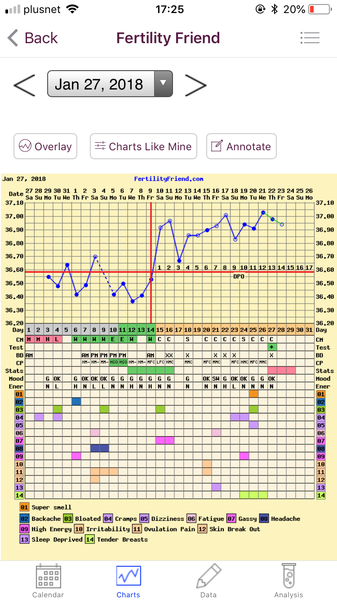 Temp Chart?