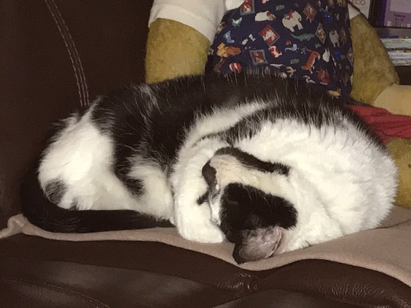 Harry's Results