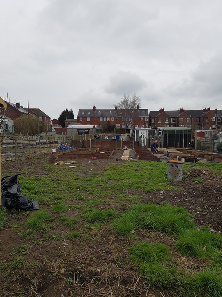 Allotment/Veg patch thread 11 'We bid  farewell to rainbow leaves but will keep plotting along'