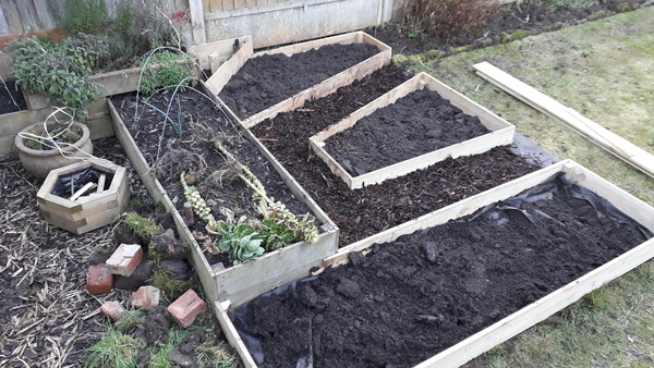 Allotment/Veg patch thread 11 'We bid  farewell to rainbow leaves but will keep plotting along'