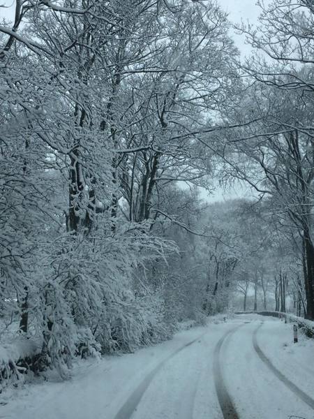 Which is your favorite Season