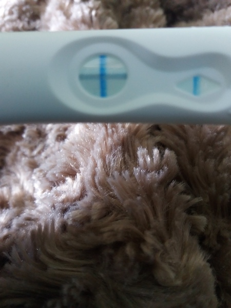 Who’s TTC a Christmas Baby. March 2018
