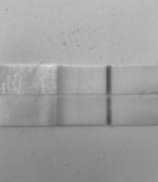 Am i going crazy? Positive after brown discharge 🧐