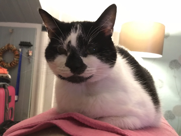 Harry's Results