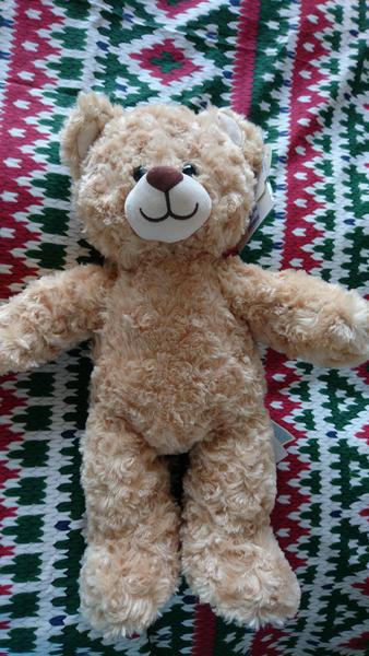 Find out what MNers and their DC’s got up to at the Build-A-Bear Workshop! NOW CLOSED!