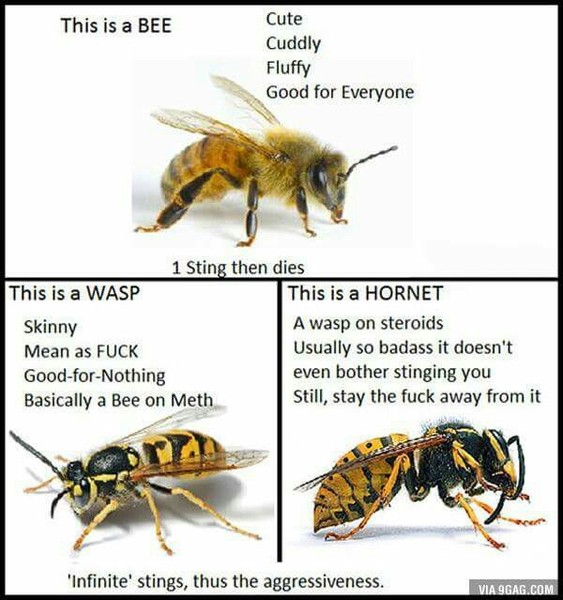 🐝🍯 and discuss...