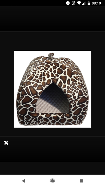 Indoor bunnies - what bed?