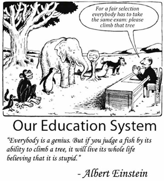 GCSE 1-9 Advice Please