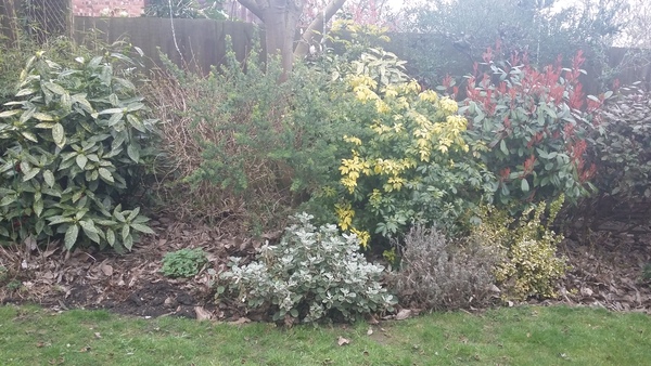 What can I do with this border?