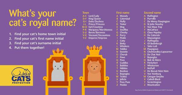 Your cat's royal name